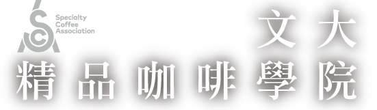banner圖行動版